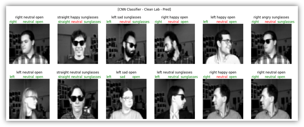Prediction sample for CNN Classifier with Cleanlab Prediction Label